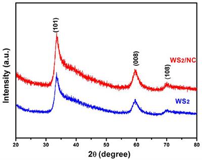 Nitrogen-Doped Carbon Coated WS2 Nanosheets as Anode for High-Performance Sodium-Ion Batteries